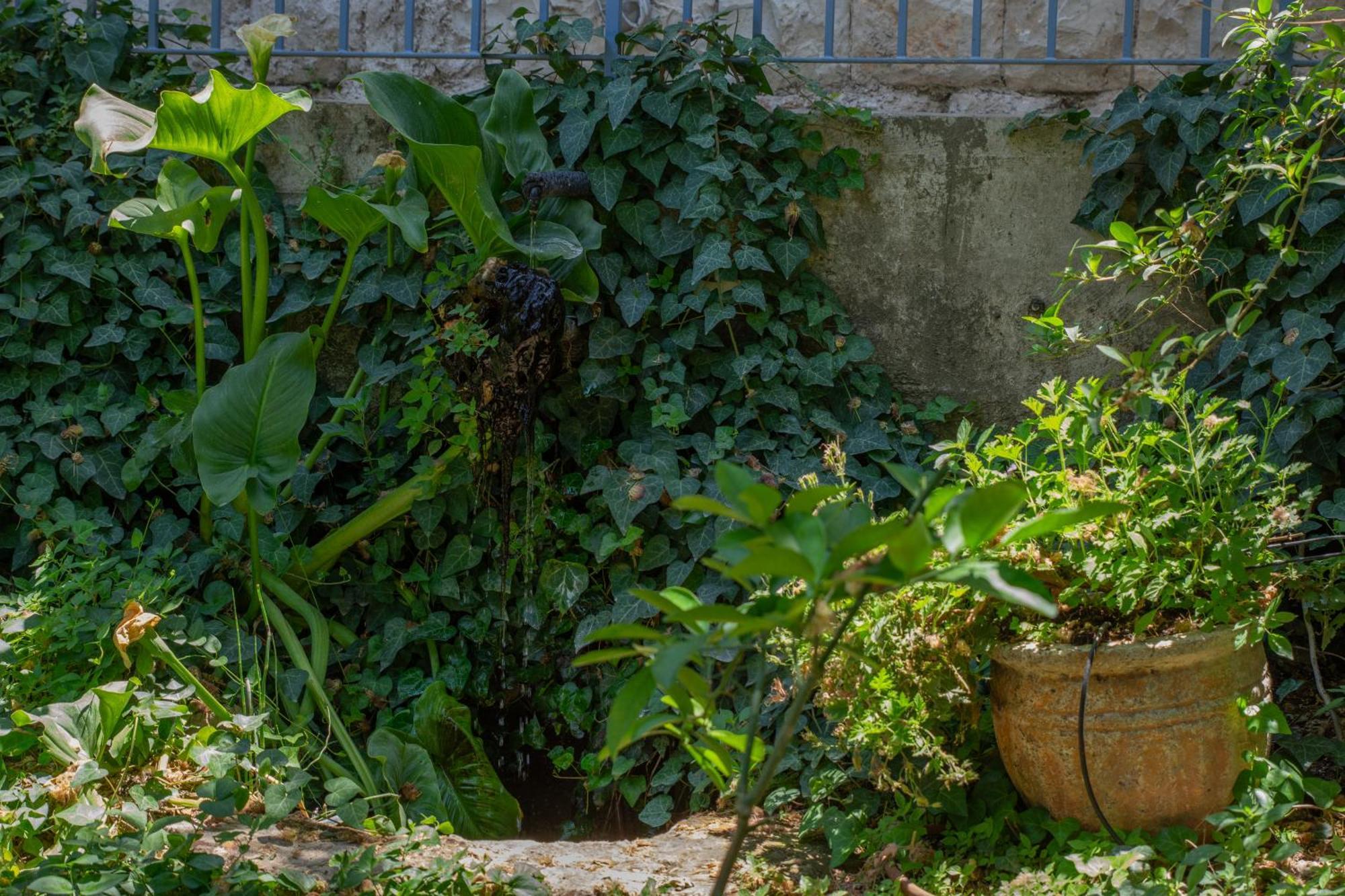 Harmony Inn Safed Ngoại thất bức ảnh
